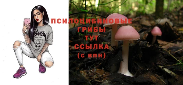 a pvp Куйбышев