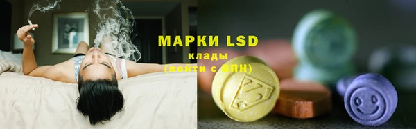 СК Кулебаки
