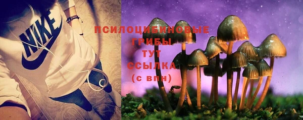 МДПВ Кукмор