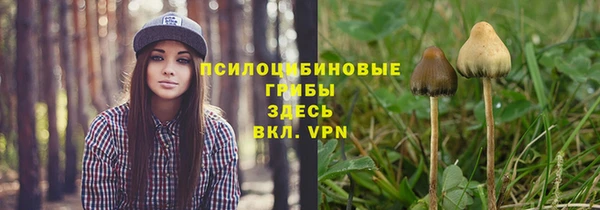 a pvp Куйбышев