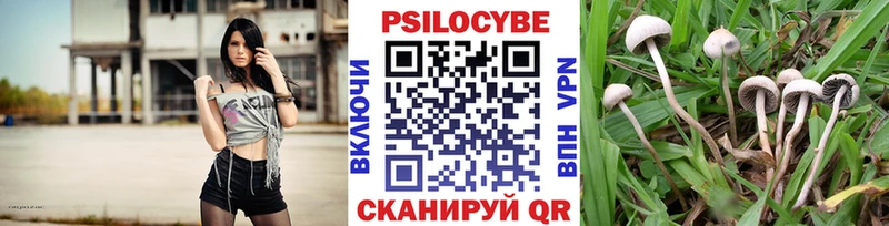 Галлюциногенные грибы ЛСД  Екатеринбург 