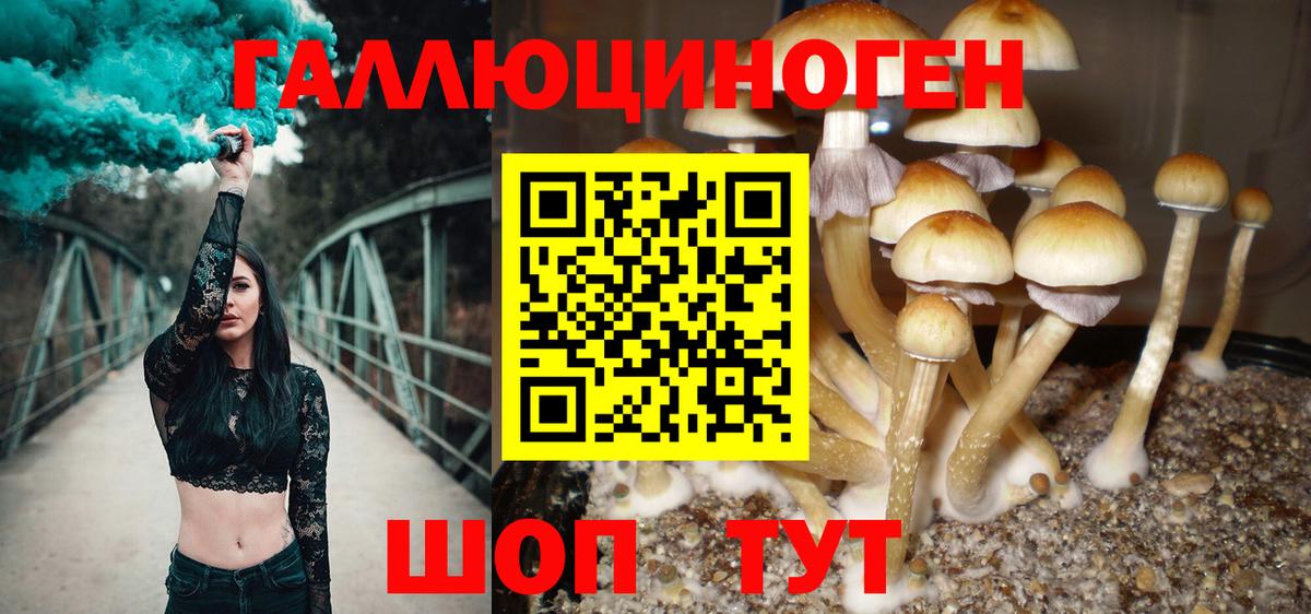 Псилоцибиновые грибы MAGIC MUSHROOMS  Екатеринбург  Галлюциногенные грибы ЛСД 